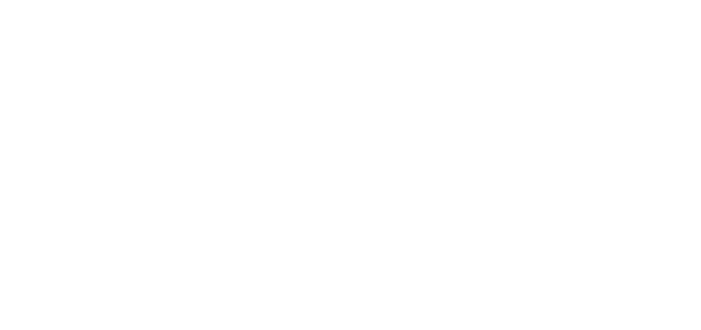 The Conscious Community