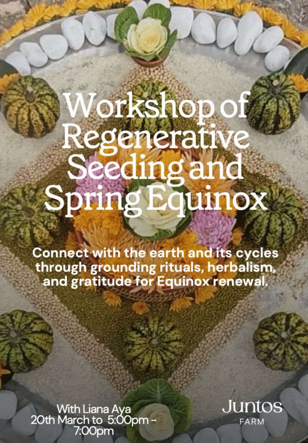 Workshop of Regenerative Seeding and Spring Equinox